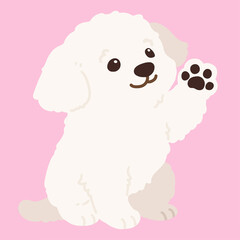 Flat colored simple and adorable white Maltese dog sitting and waving hand illustration