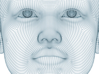 Human Face Wire Mesh