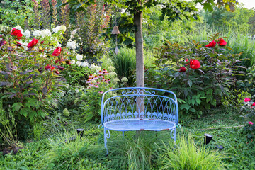 A vintage blue garden bench sits under a maple tree in a garden oasis bursting with reds hibiscus, white hydrangeas, pink coneflowers and ornamental grasses. 