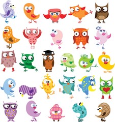 Vector illustrations set of cute different birds in the simple style