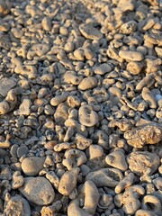 stones on the beach