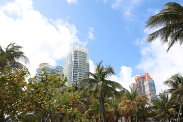Fototapeta na wymiar Holiday at Miami Beach in Florida, USA