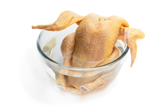 Helloworld Poussin รูปภาพPoussin – เลือกดูภาพถ่ายสต็อก เวกเตอร์ และวิดีโอ7,383 | Adobe Stock