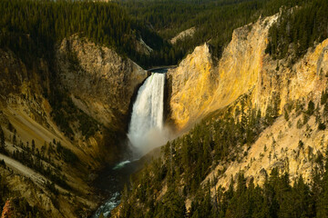 Lower Falls of the Yellowstone River in Yellowstone National Park