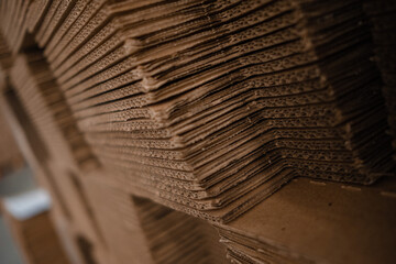 Bales of stacked cardboard sheets