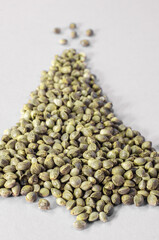 hemp seeds  macro image on white background