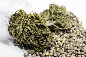 medical cannabis buds and seeds near plastic pharmaceutical container on white