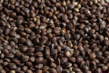 hemp seeds  macro image on white background