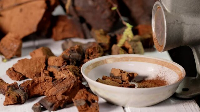 Grinding of natural chaga mushroom with chaga pieces on a white background. A pile of chopped chaga mushroom, close up. Inonotus Obliquus. 