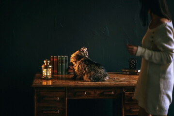 brown cat sitting on wooden vintage table with books and lamp