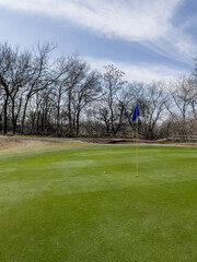 Obraz premium golf ball on the green