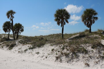 Clearwater Beach in Tampa, Florida USA