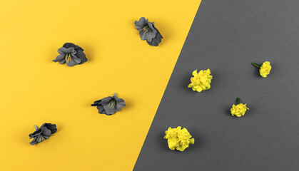 Creative flat lay banner concept of trendy colors of the 2021 year, photo with flowers