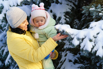Fototapeta premium family portrait in the winter forest, mother and child looks on snow, bright sunlight and shadows on the snow, beautiful nature