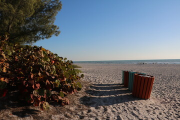 Manatee public beach at Anna maria island, Florida USA