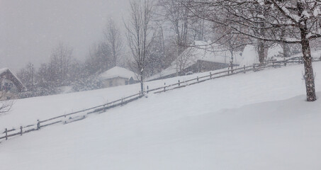 Fototapeta premium winter in the vilage