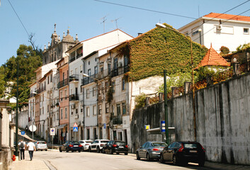 Side View of Vine on Property in Coimbra