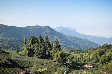 Fototapeta na wymiar Alishan Mountains in the central-southern region of Taiwan