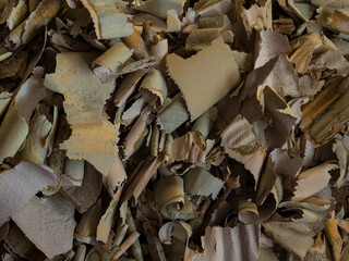 bits of paint peeled off the wall . pile of small pieces of paint detached from the wall.  pile of...