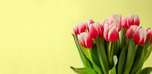 Banner spring concept, bouquet of flowers tulips on a light background. Women's day, Valentine's day concept, Mother's Day. Vertical position. Flat lay. Copy space.