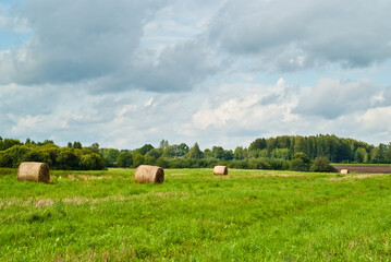 green field on the background of the sky with clouds. rural landscape