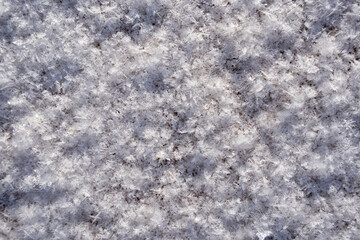 snowy snow with large snowflakes and close up it forms a beautiful pattern