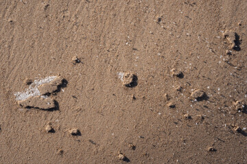 beach sand in winter together with a bit of snow form an interesting background
