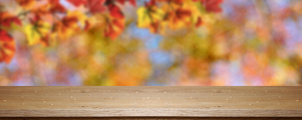 Empty long wooden table with water drops on a background of autumn trees. Place to display your product - 411336244