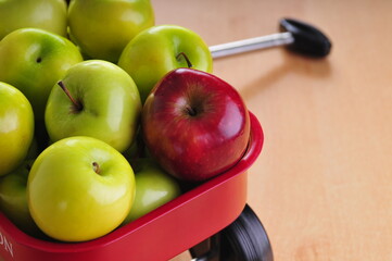 Provocative red apple stands out from other green ones.