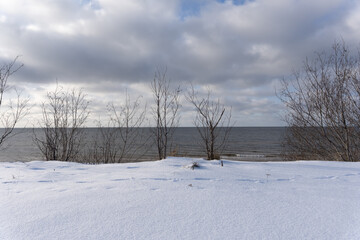 The Baltic Sea beach is snowy white in winter and the trees have no leaves