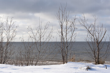 The Baltic Sea beach is snowy white in winter and the trees have no leaves