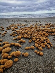 stones in the sand