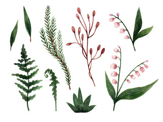 Botanical forest clipart in watercolor