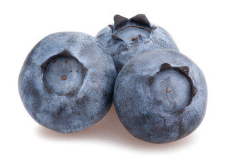 blueberry path isolated on white