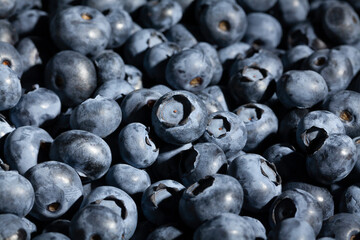 blueberry group macro detail closeup