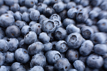 blueberry group macro detail closeup