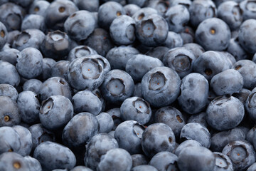 blueberry group macro detail closeup