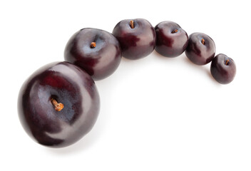 deep red burgundy plum path isolated on white