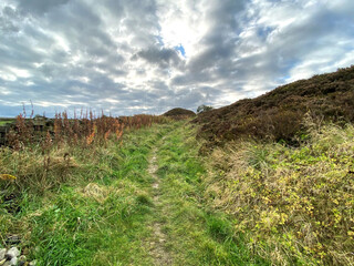 Hikers trail, on the moor top, leading toward, Haworth, with gorse, and wild plants in, Oxenhope, Keighley, UK