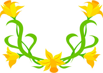 A bunch of blooming yellow and orange narcissus or daffodils in wreath. Spring flowers and leaves vignette on white background. Vector illustration.