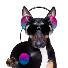 Foto op Plexiglas Grappige hond dj disco dansen muziek hond