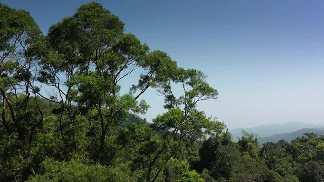 sunny day taipei city famous mountain park greens aerial panorama 4k taiwan