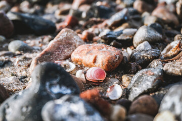 shores by the sea