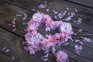 Heart of pink spring flowers (sakura) on a wooden background. Love symbol for Valentine's Day. Particles of art.
