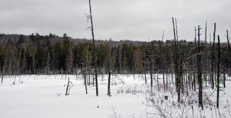 Winter landsacape on the countryside in Quebec, Canada