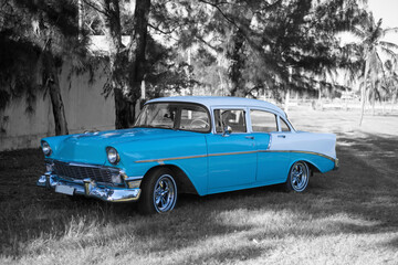 colorkey of baby blue and white classic car under old trees in havana cuba