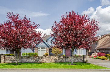 Fragment of a nice house with gorgeous outdoor landscape in Vancouver, Canada.