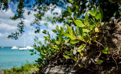 fábrica, verde, naturaleza