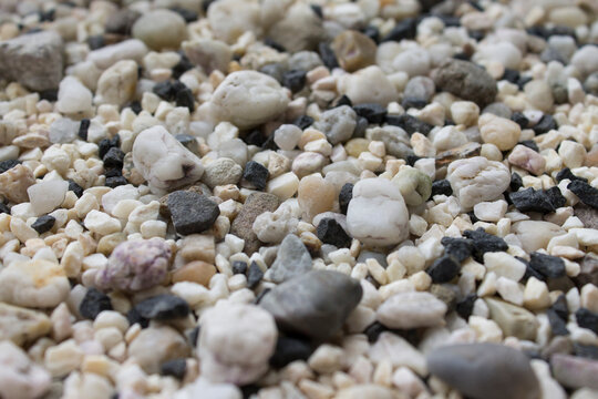 รูปภาพPlanty เลือกดูภาพถ่ายสต็อก เวกเตอร์ และวิดีโอ942 Adobe Stock