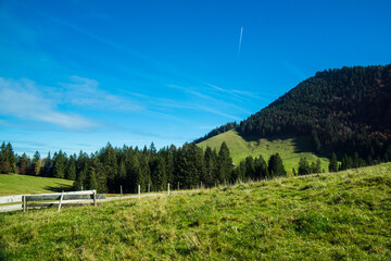path along meadow on alps